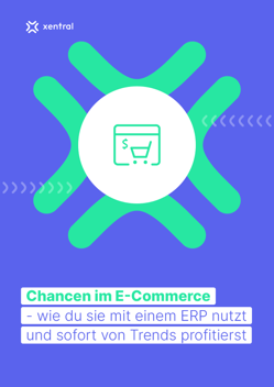 preview_blog_Whitepaper_Chancen_im_E-Commerce_Xentral